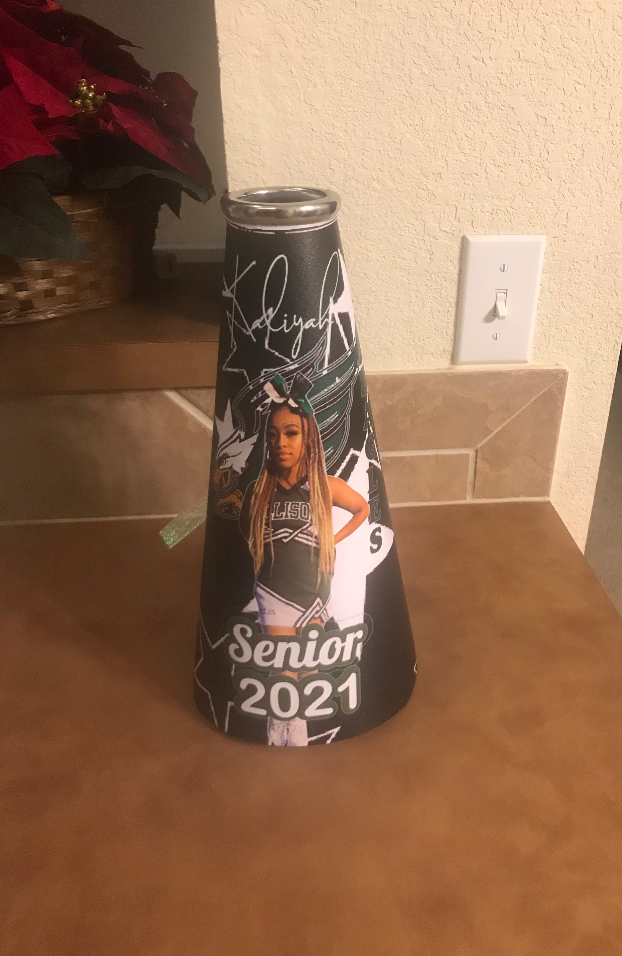 Custom Cheerhorn (send email to order)